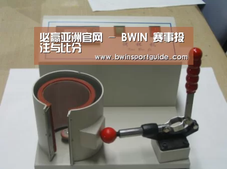 必赢体育案例展示六(图1)