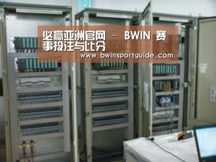 必赢体育案例展示五(图1)