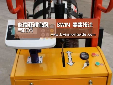 必赢体育案例展示三(图1)