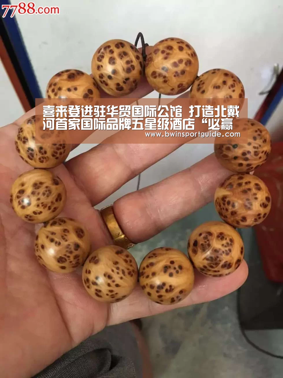 必赢体育