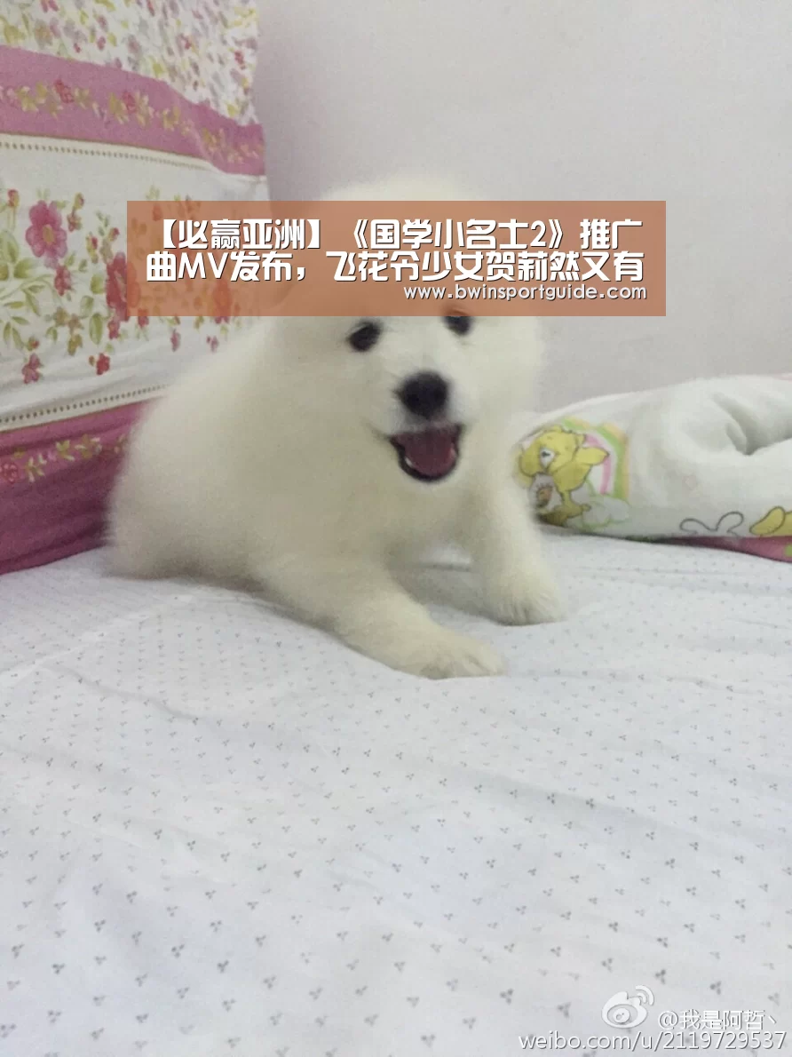【必赢亚洲】《国学小名士2》推广曲MV发布,飞花令少女贺莉然又有现象级诗词表现?(图2) 必赢体育官网