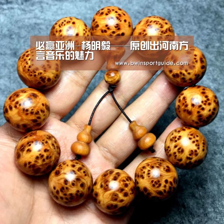 必赢亚洲-杨明毅——原创出河南方言音乐的魅力(图1) 必赢体育